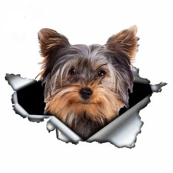 10-см стикер за полагане на кучета Йоркшир териер, дрипави метал, водоустойчив и солнцезащитная vinyl стикер, стикер с животни за автомобили