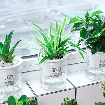 Тенджери Гърне Атрактивен Саксия за растения Многоцелеви Автоматично Водопоглощающий саксия за растения е подходящо за офис