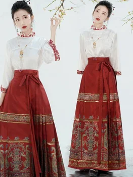 Традиционната Китайска Риза Hanfu Пола с Лошадиным Лице, Комплект от две части, Пролетно-есенен костюм, Пола Hanfu, Рокля Mamianqun, Дамски дрехи