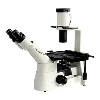 FE12403 40-1000x Медицински лабораторни обърнат биологичен микроскоп с Флуоресцентен микроскоп