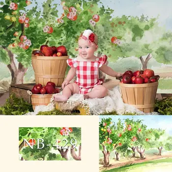 Avezano Baby Shower, фонове, за снимки честит рожден Ден на Пролетта, ябълки, дърво, градинска украса, на фона на фото студио